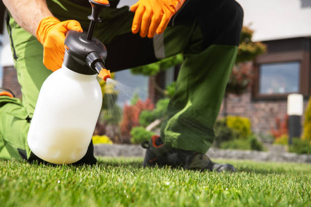 Best Pest Control for Multi-Family Homes  in Stapleton, AL